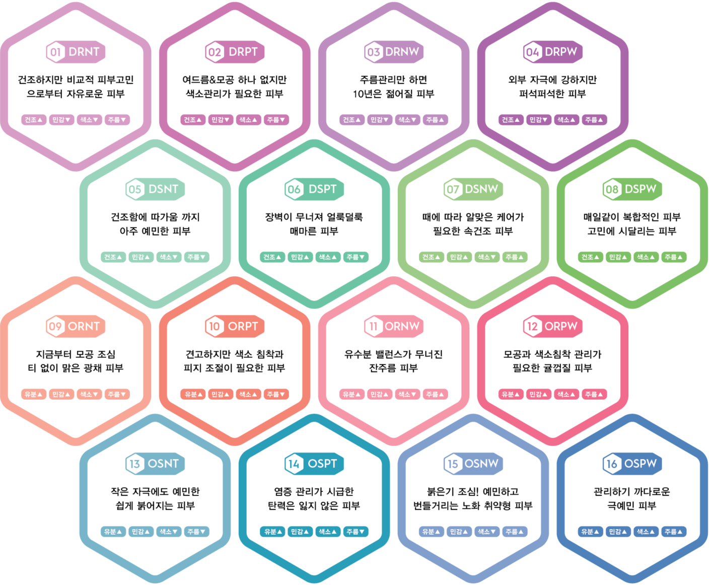 COCODEMER Skin Type Indicator(CSTI) 16가지 피부 타입 분류표