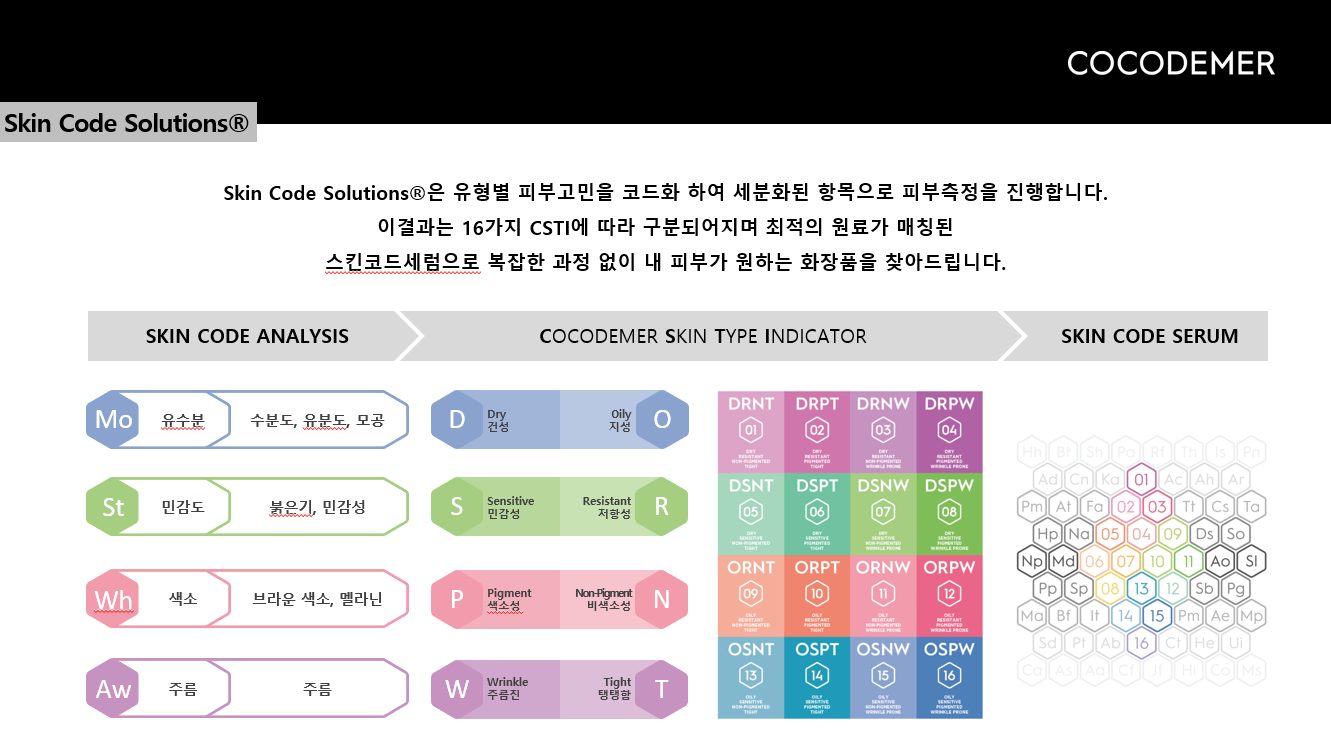 Skin Code Solutions 체계도